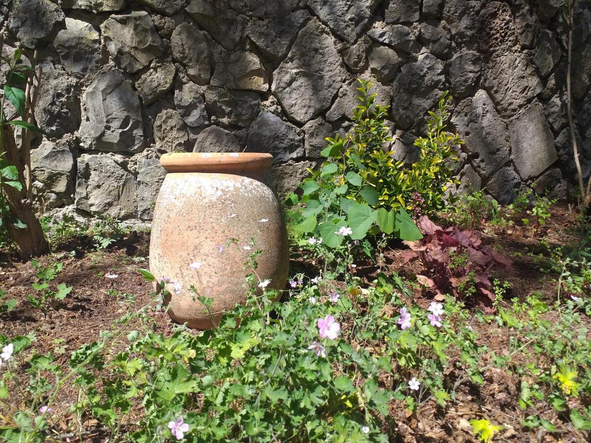 Le Jardin Secret Saint-Antonin Exterior foto