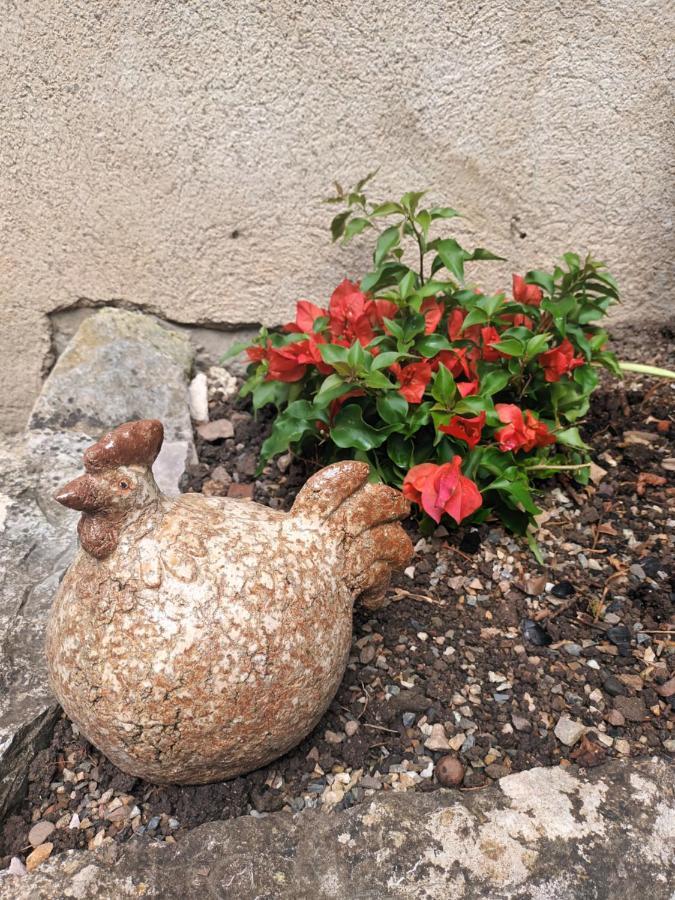 Le Jardin Secret Saint-Antonin Exterior foto